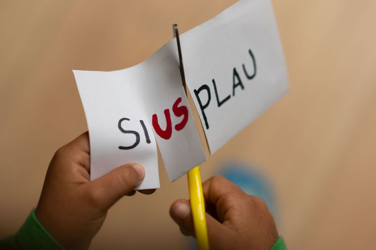 EL PAÍS