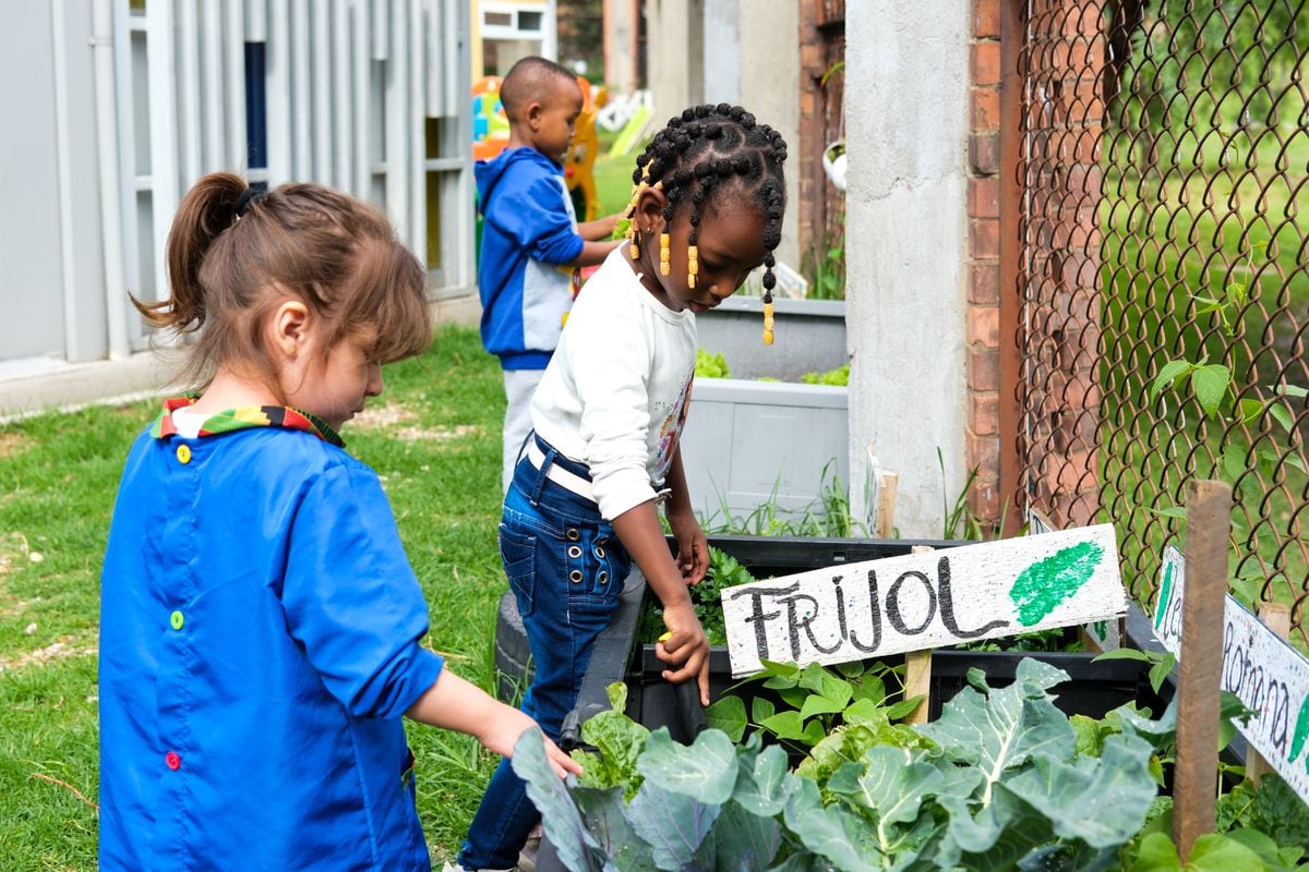 Éduquer à la diversité, l'engagement des jardins d'enfants afro de Bogotá