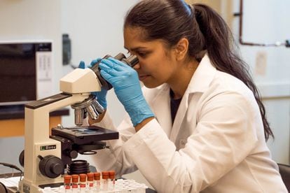 Un jeune chercheur examine des échantillons au microscope.