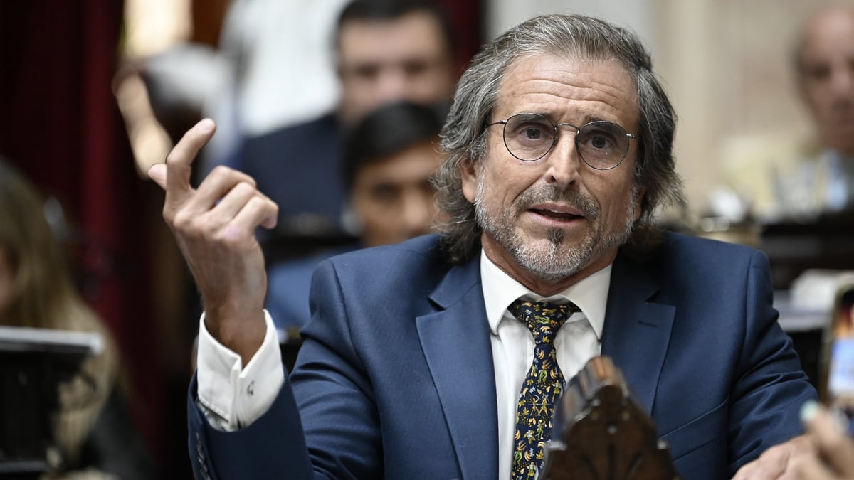 Un député de Milei défend que les parents puissent retirer leurs enfants de l'école pour aller travailler