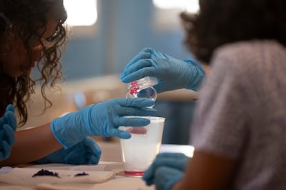 Les étudiants de 5ème année de l'ESO pendant l'expérimentation.