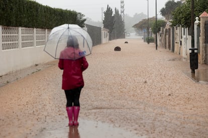 Une femme observe une rue dans le quartier de Campanillas à Malaga pendant le col temporaire, le 13 mars.