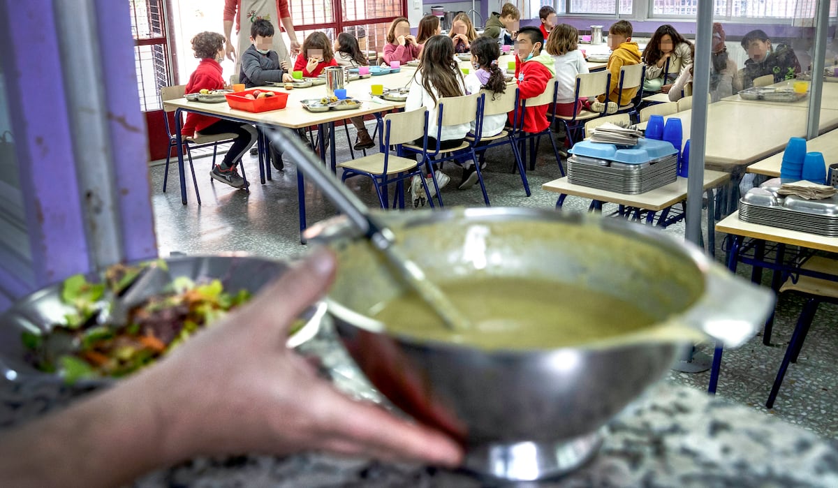 Au revoir aux 1 200 cantines d'école sans poisson et pâtisseries industrielles: le gouvernement approuve cinq repas sains par semaine