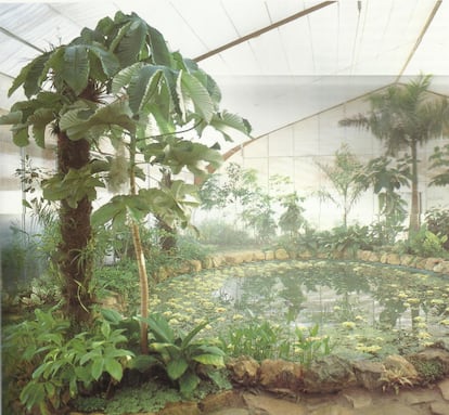 Le jardin américain a été créé pour exposer la collection de plantes exotiques données par les pays participants.