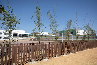 Alcorques avec des usines de bambou dans la cour du Ceip El Olivo, dans la ville sévillienne de Mairena del Aljarafe.
