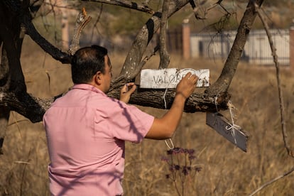 L'enseignante Alberto González, coordinatrice du lycée agroécologique d'El Limón, place un signe dans l'espace appelé le chemin de La Paz, visant à donner une intimité aux élèves.