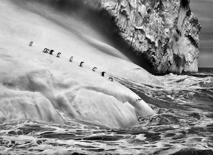 Faire bouillir des pingouins sur un iceberg entre les îles Zavodovski et Visokoi, South Sandwich Islands (2009), du projet «Genesis».