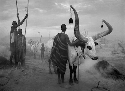 Photographie de Sebastião Salgado prise lors de son projet «Genesis» dans le camp de Dinka à Kei, Soudan du Sud (2006). 
