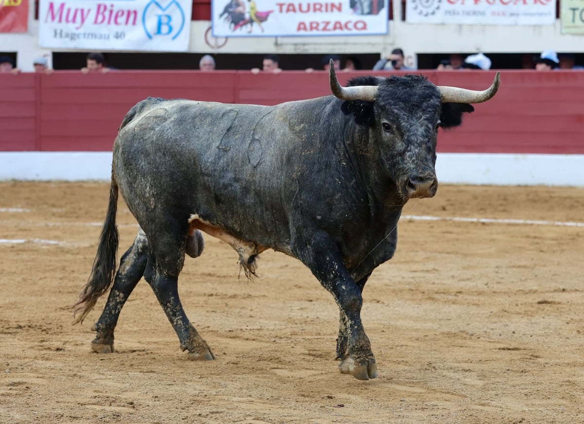 EL PAÍS