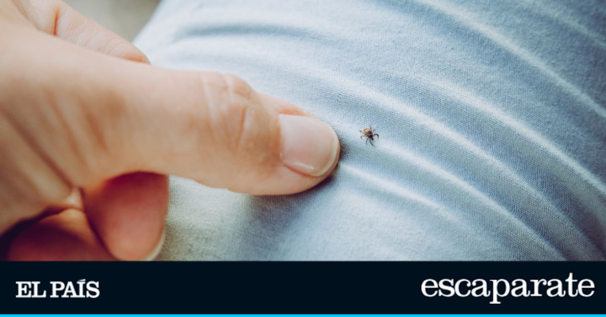 C'est la solution naturelle qui maintient les tiques, les puces et les moustiques à distance
