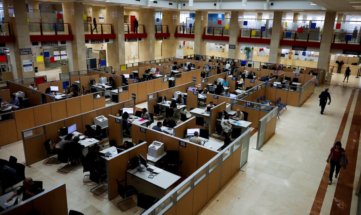 L'IA secoue le secteur public: « Dans certaines administrations locales, Chatgpt est utilisé à Mansalva, sans aucun contrôle »