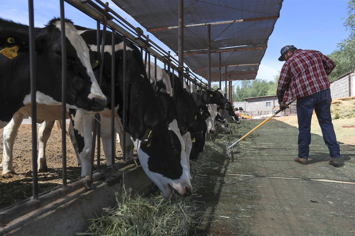 La production mondiale agricole et de pêche augmentera 14% au cours de la prochaine décennie
