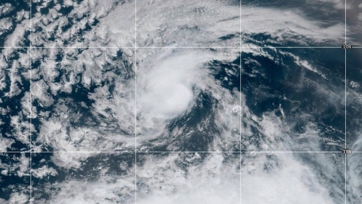 L'ouragan «Erin» revient à la catégorie 4: Quel est le pronostic de son passage