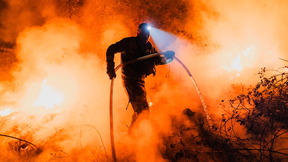Dernière heure d'incendie en Espagne, en direct | Le feu de Jarilla entre déjà Castilla y León à travers Candelario (Salamanque)