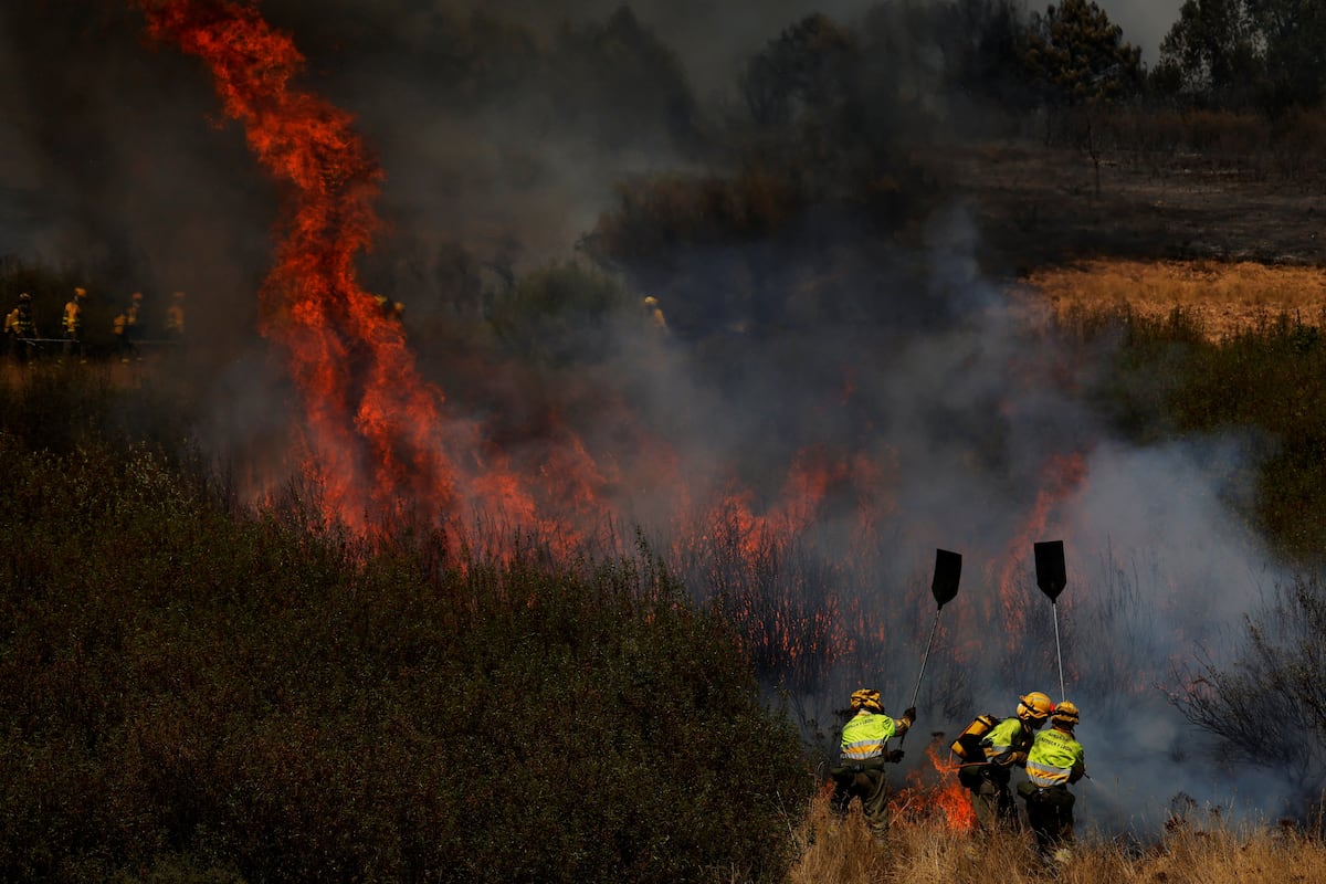 Dernière heure d'incendie en Espagne, en direct | Castilla Y León combat neuf incendies sérieux après la réactivation d'une focalisation