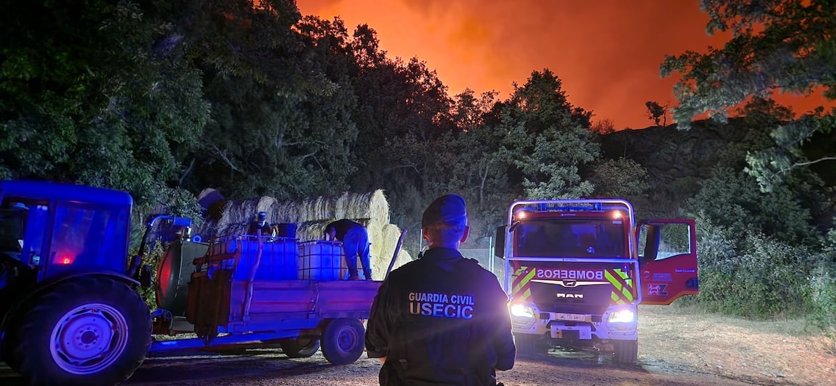 Dernière heure d'incendie en Espagne, en direct | Le PP appelle le directeur de la protection civile et élève la tension de la gestion des incendies «