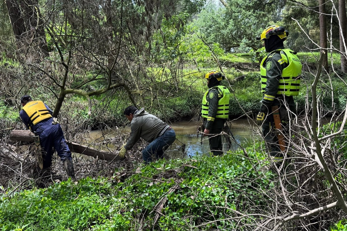 J'ai trouvé le corps sans vie de la fille Valeria Afanador, disparue il y a 18 jours à Cajicá