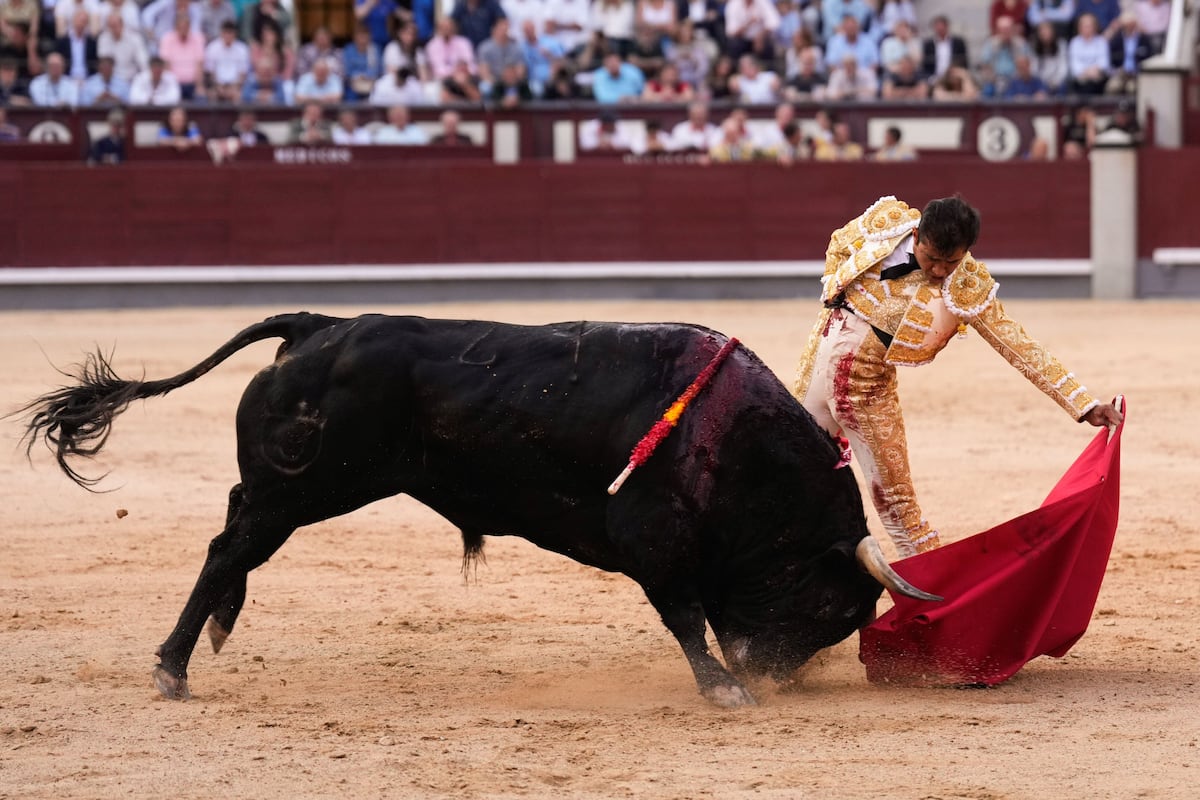 Le porte-taureau mexicain Joselito Adame annonce son retrait de l'anneau