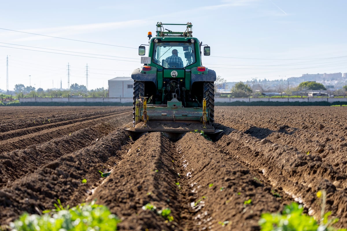 Les communautés et les agriculteurs font de l'ananas pour bloquer la coupe de l'aide sur le terrain