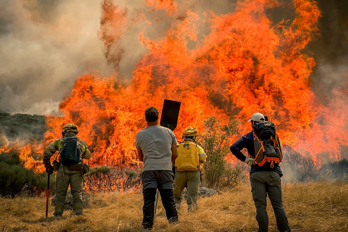 Les pompiers de Béjar, près de l'incendie et incapables d'agir: « Est-il logique qu'être 15 minutes, nous n'aidons pas? »