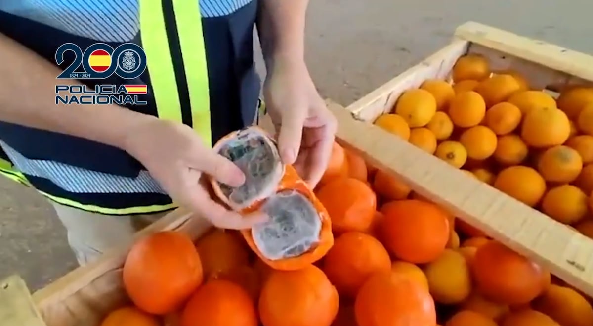 Opération 'Zidanne': ils trouvent 1 600 kilos de haschisch déguisé en oranges