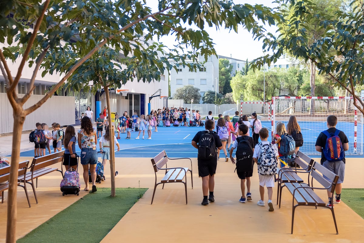Le cours le plus diversifié commence: un élève des écoles primaires sur quatre est un étranger dans les écoles publiques dans sept provinces