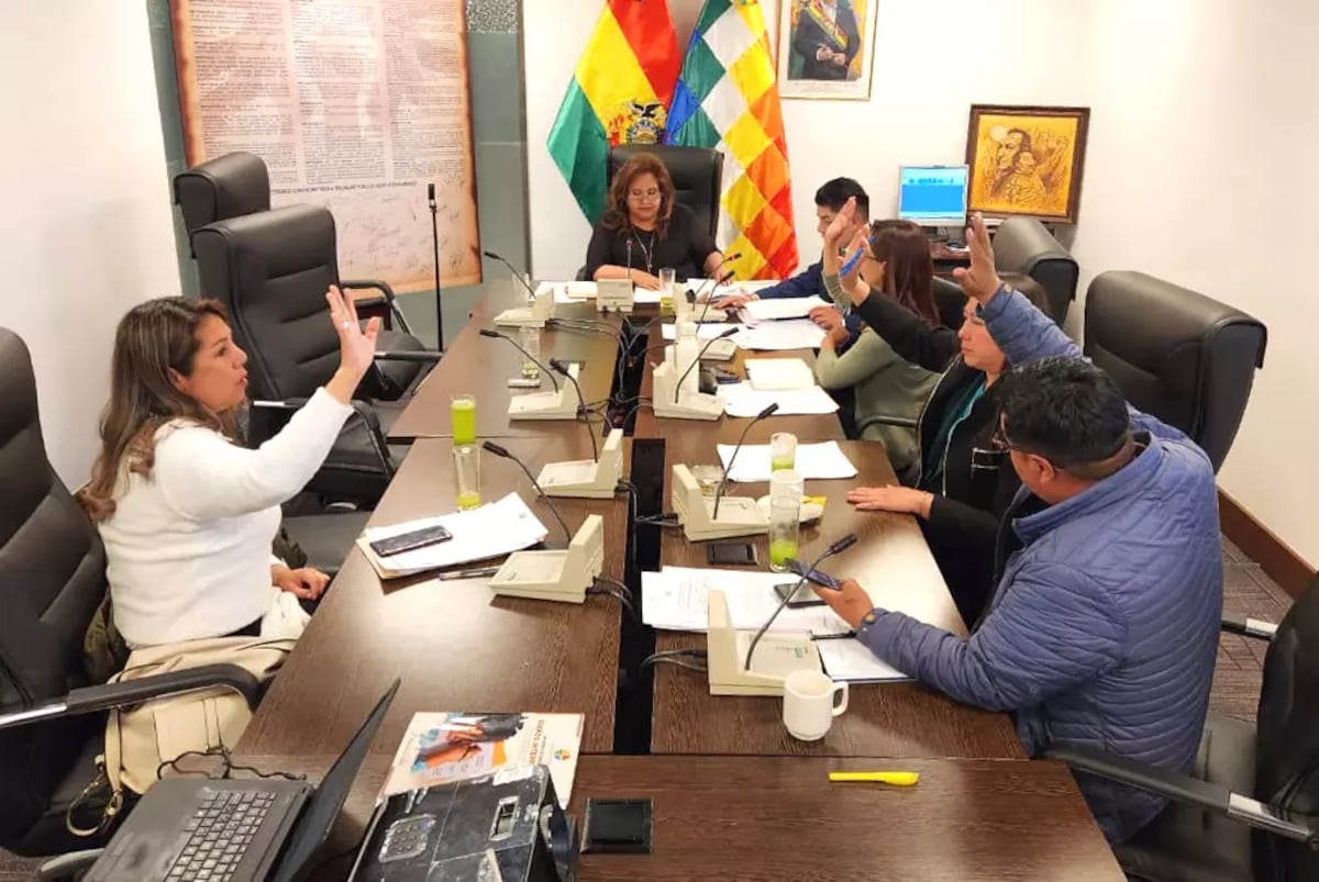 La Bolivie interdit le mariage des enfants et les premiers syndicats: « Ce n'est pas une coutume, c'est la violence »