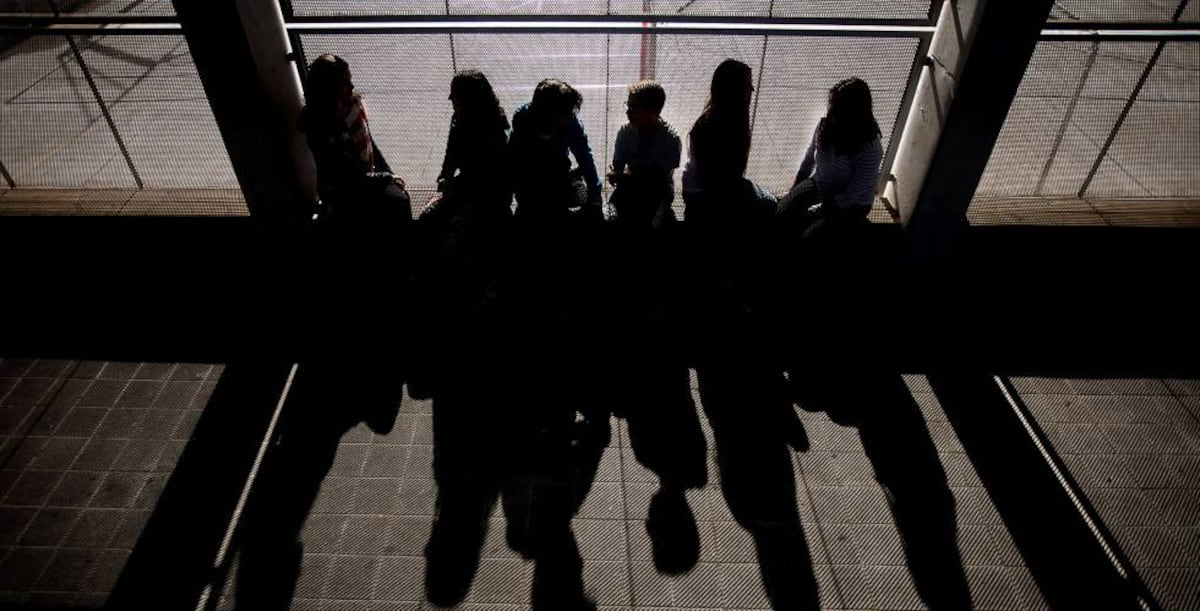 Étudiants confrontés à la lgtbiphobie dans les centres éducatifs : « Il y a des camarades de classe et aussi des professeurs qui vous font du mal »