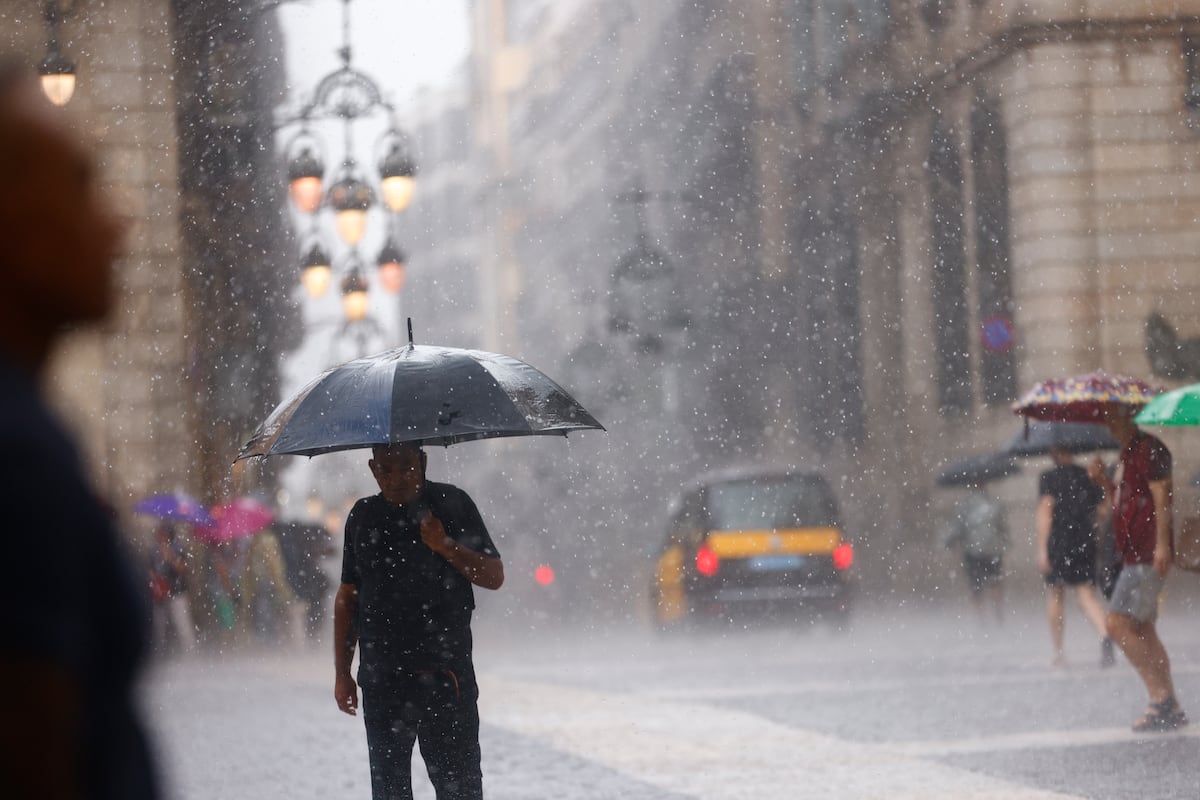 Le conseil du président de l'Observatoire des Inondations : « Si vous faites du camping, regardez votre capacité à sortir de là »