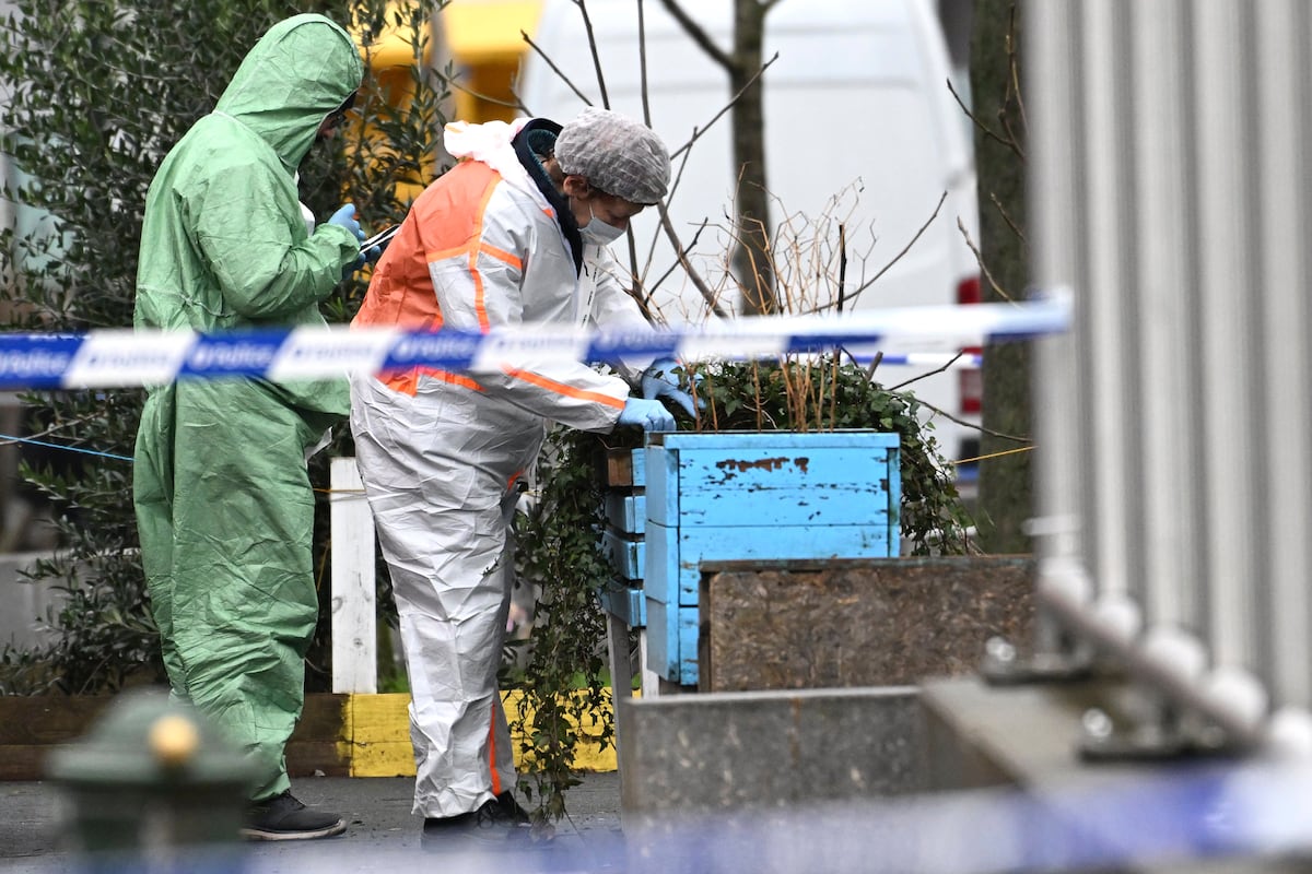 Les juges belges préviennent que le pays est en passe de devenir un narco-État