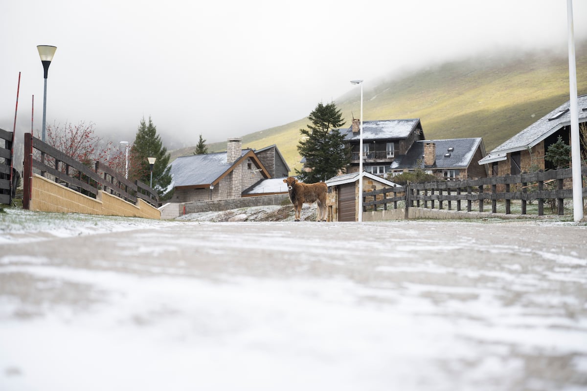 Sept communautés de la péninsule nord, en alerte à la neige