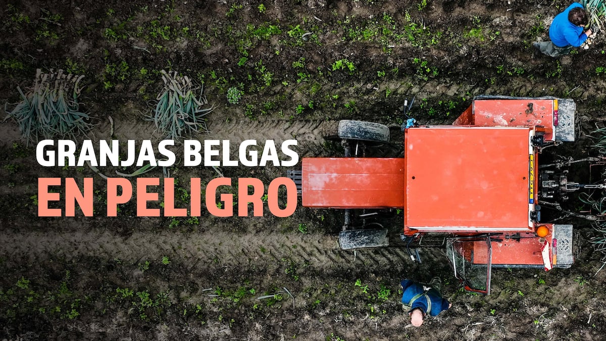 Vidéo | Les exploitations agricoles belges sont en danger