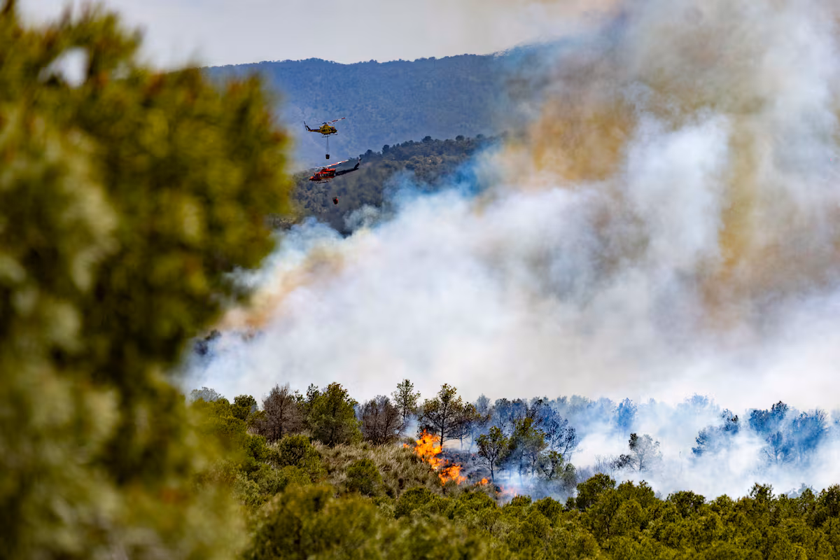 Un incendie brûle 400 hectares à Murcie et oblige 80 éclaireurs à évacuer