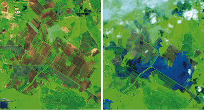 Zones humides de Doñana