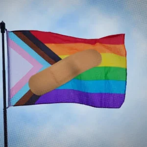 Comment les dirigeants LGBTQ+ naviguent dans le moment politique